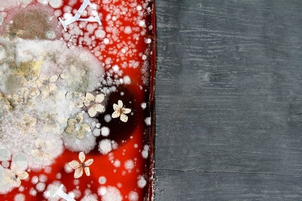 Detail of Immortality 2 by Charlie Millar