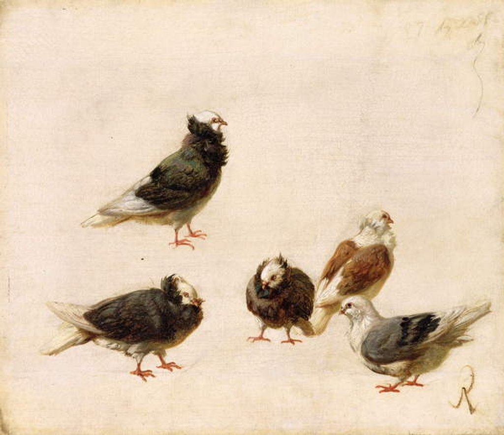 Detail of Pigeons, 1888 by Jose Ruiz Blasco