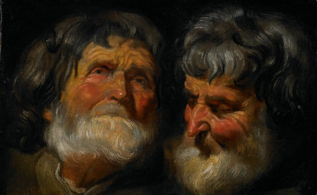 Detail of Two studies of the head of an old man, c.1630 by Jacob Jordaens