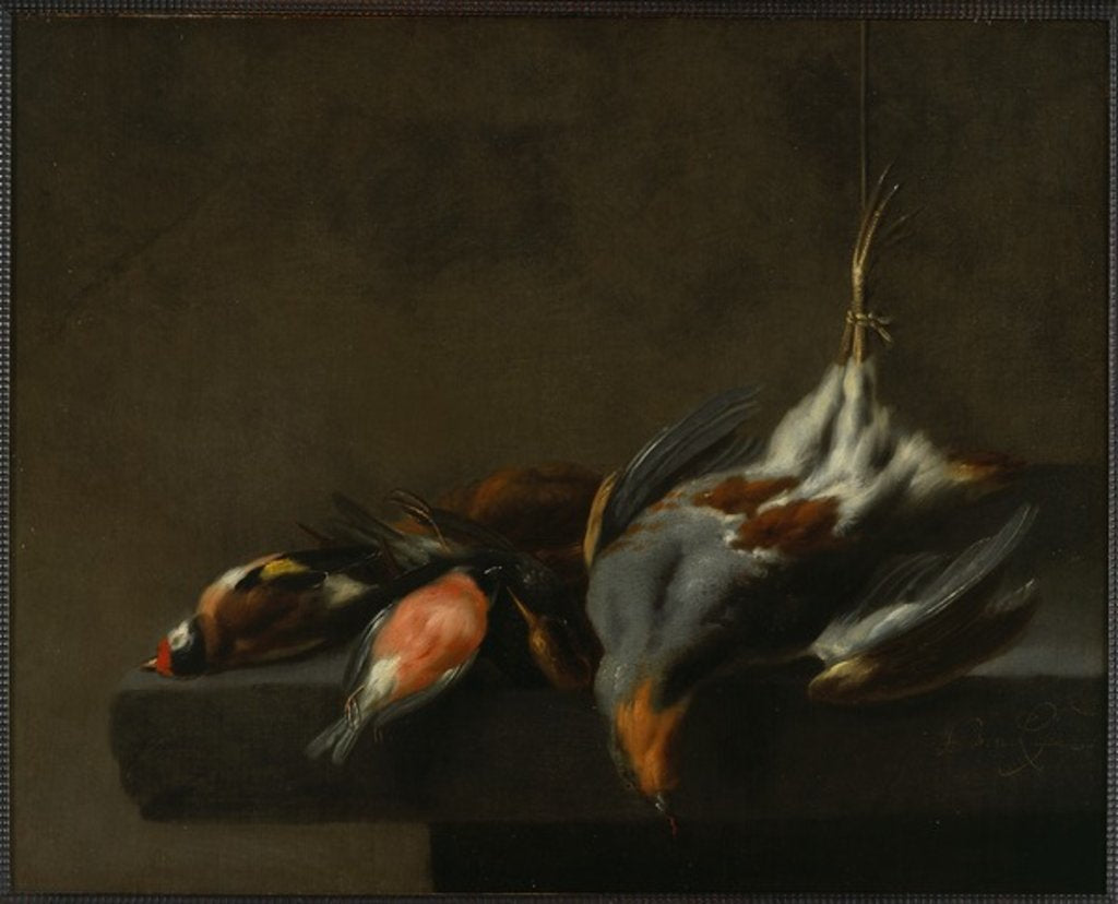 Detail of Still Life of Dead Birds, c.1660 by Jan Vonck