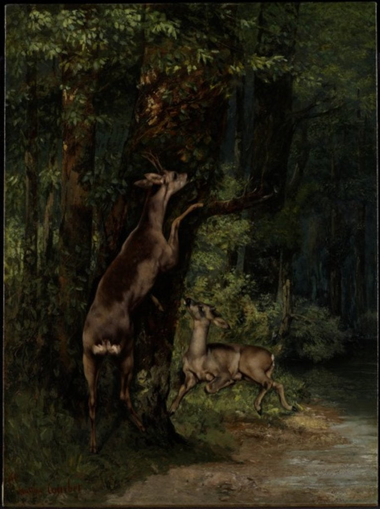 Detail of Deer in the Forest, 1868 by Gustave Courbet