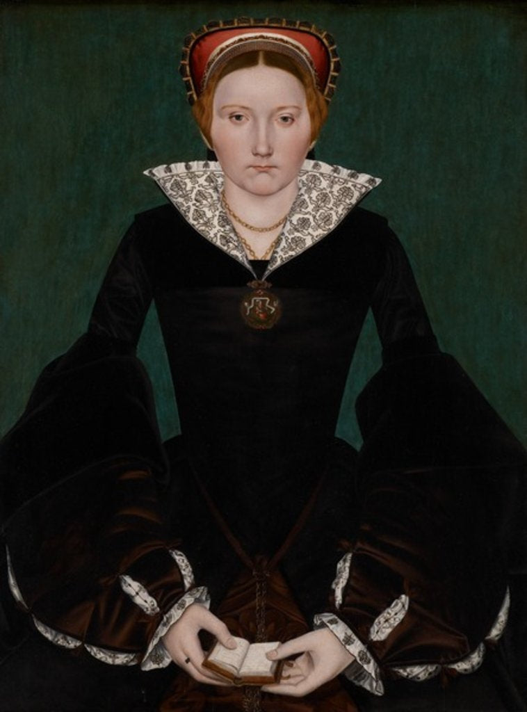 Detail of Portrait of a noblewoman, c.1550 by English School