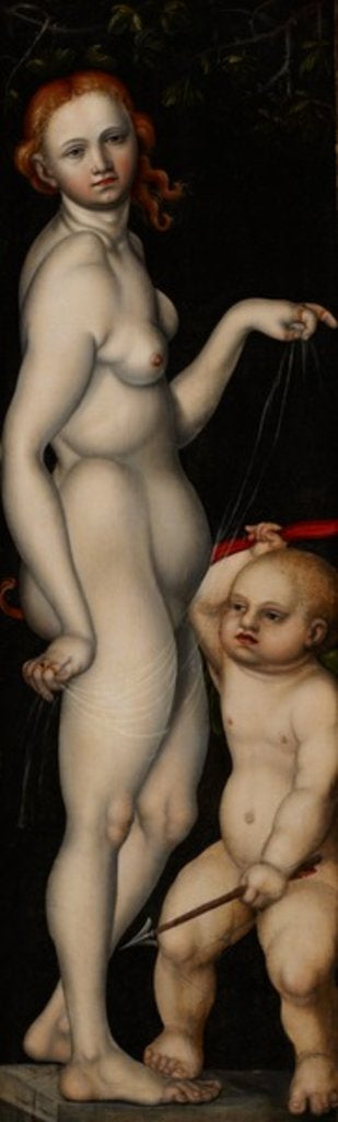 Detail of Venus and Cupid, c.1529 by Monogrammist H. B.