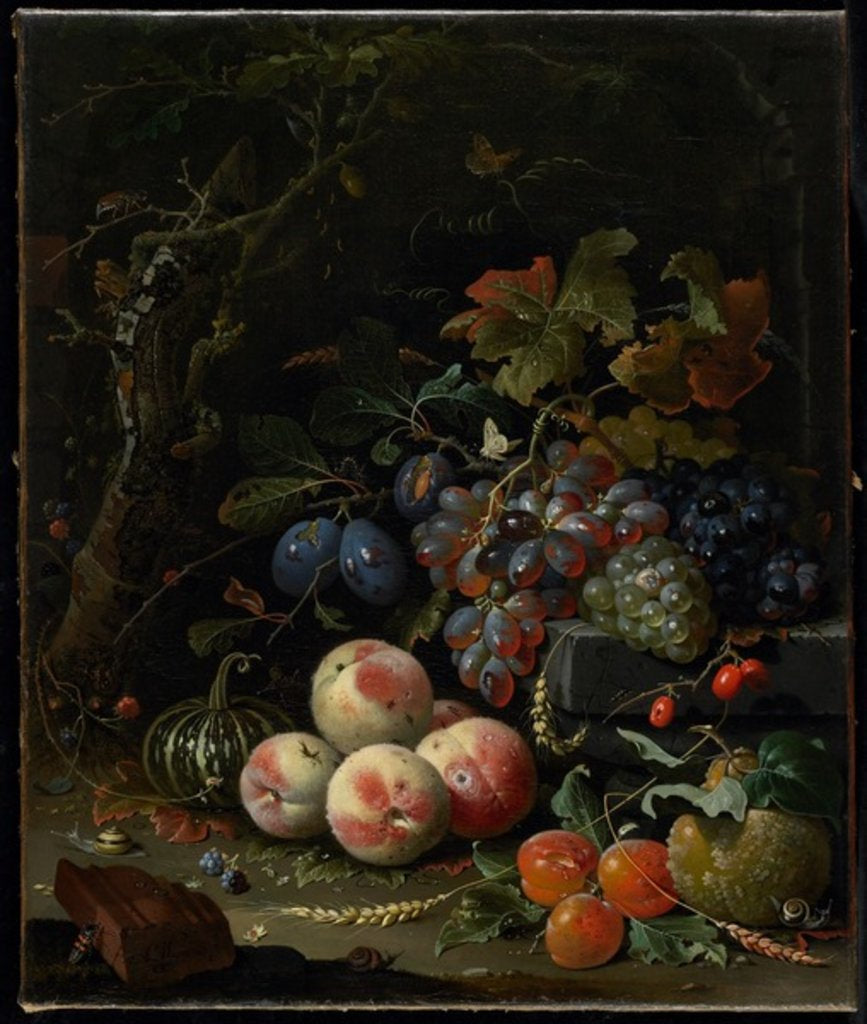 Detail of Still Life with Fruit, Foliage and Insects, c.1669 by Abraham Mignon