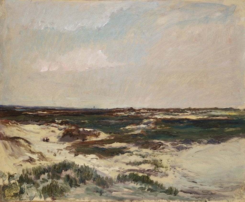 Detail of The Dunes at Camiers, 1871 by Charles Francois Daubigny