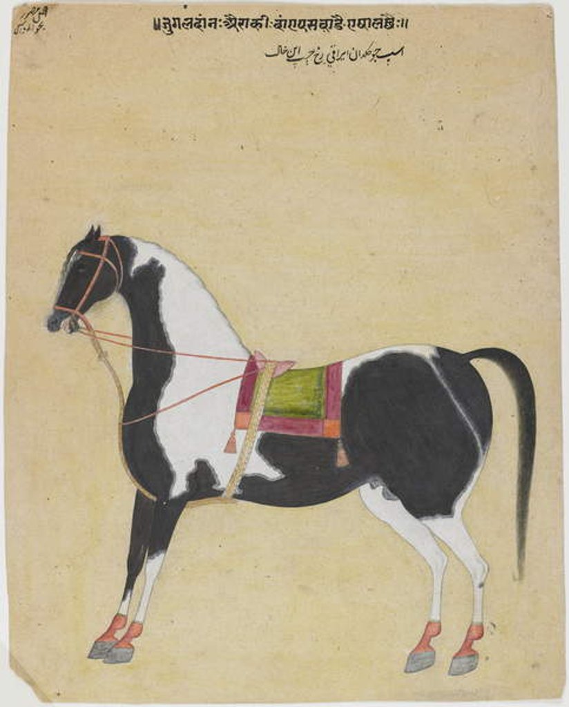 Detail of The Stallion Jukaldan Ayragi, c.1730 by Bhavani Das