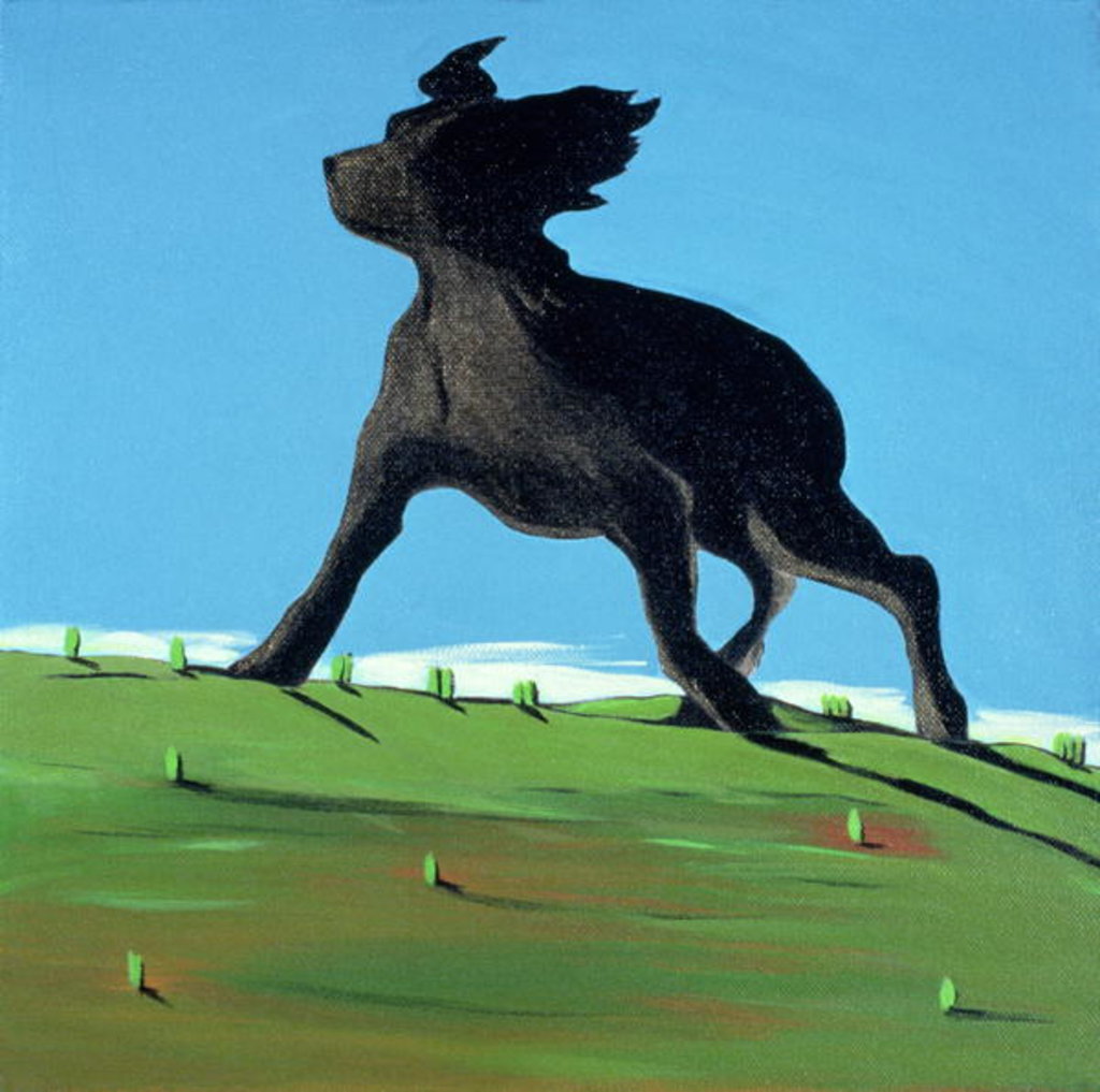 Detail of Amazing Black Dog, 2000 by Marjorie Weiss