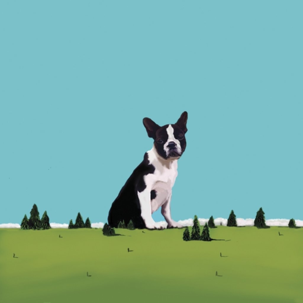 Detail of Boston Terrier, 2008 by Marjorie Weiss