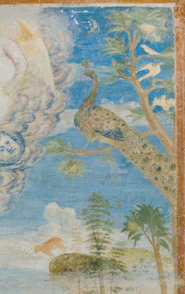 Detail of Peacock, detail of 3496206 by Italian School