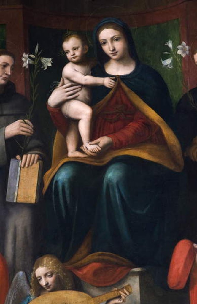 Detail of Holy Conversation, Pala Raimondi, 1517-18 by Bernardino Luini