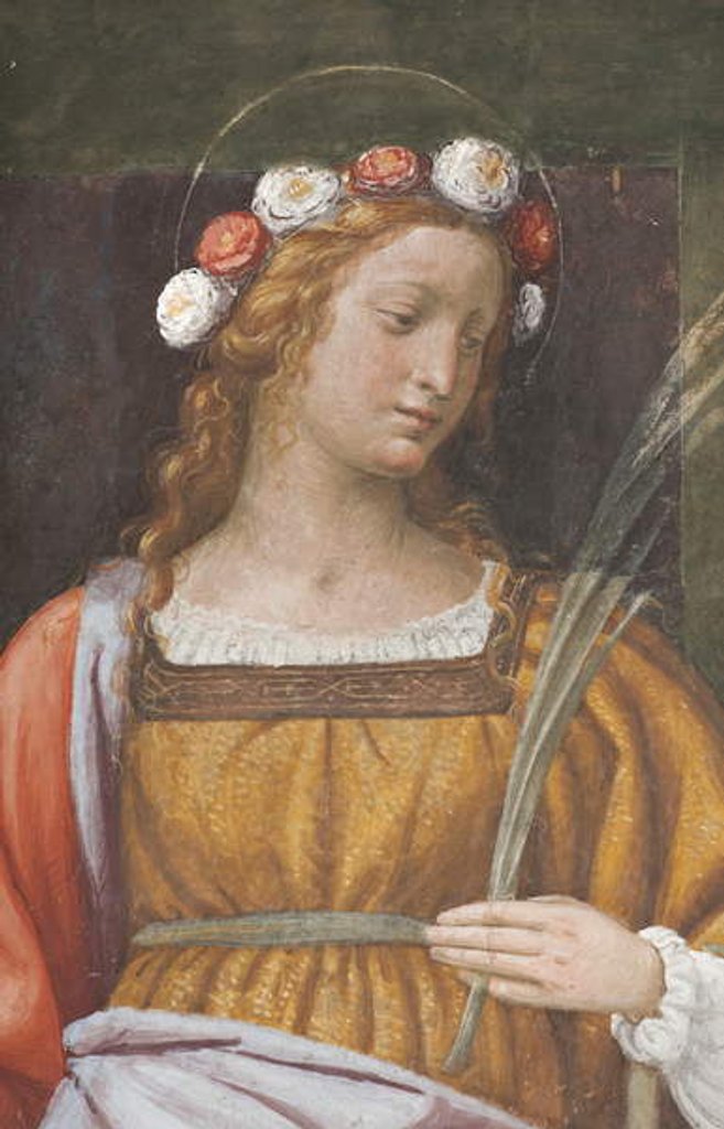 Detail of Saint Rose by Bernardino Luini