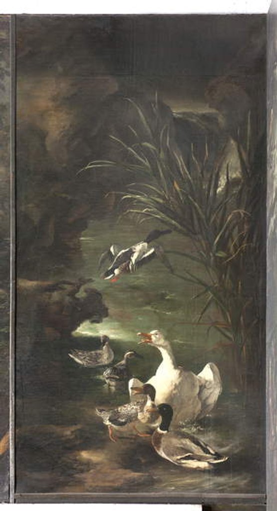 Detail of Myth of Orpheus: swan and ducks, c.1650-60 by Italian School