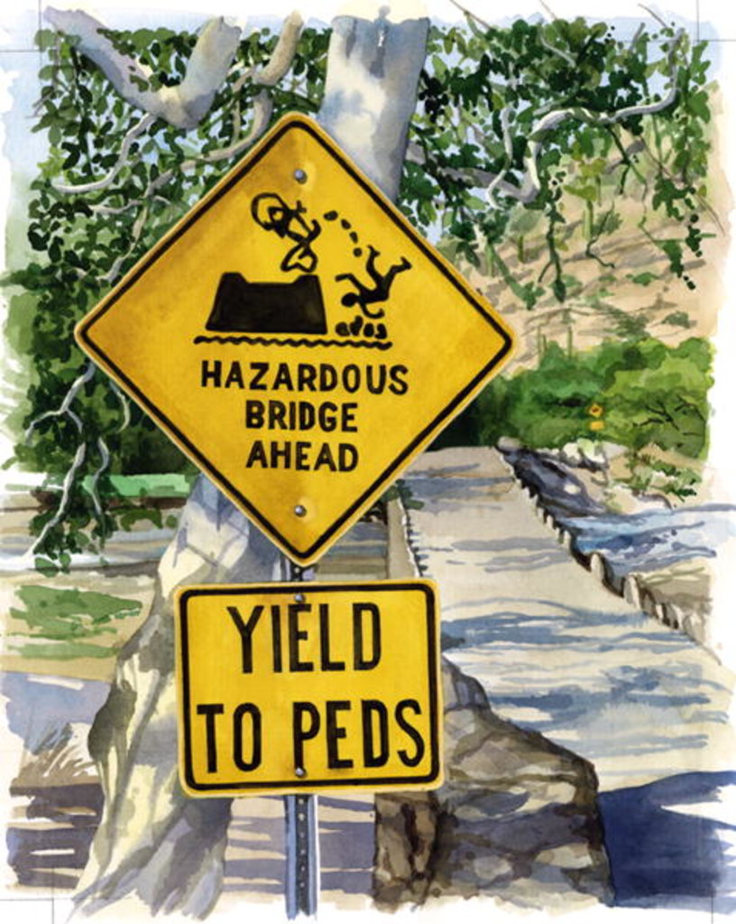 Detail of Sabino Canyon, 2004 by Lucy Masterman