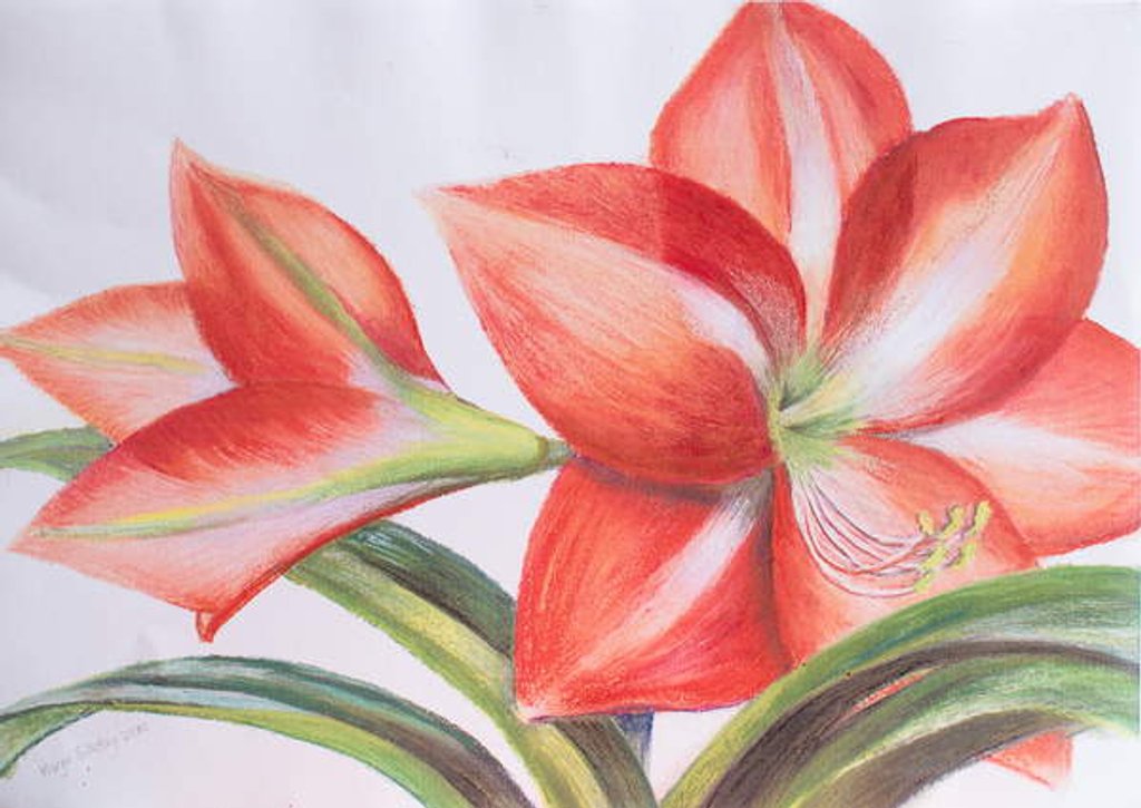 Detail of Variegated Lily, 2016 by Margo Starkey