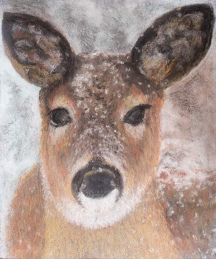 Detail of Young Deer in Winter, 2017 by Margo Starkey