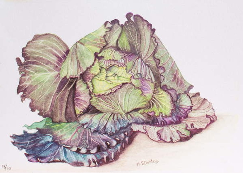Detail of Cabbage, 1990 by Margo Starkey