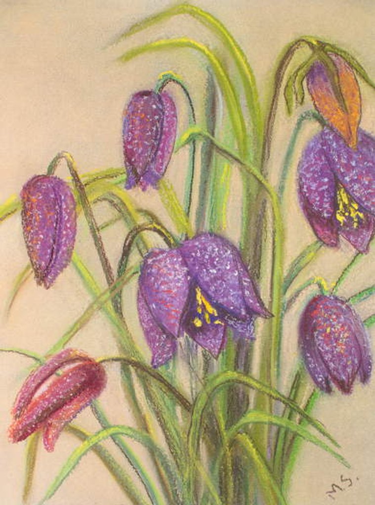 Detail of Bunch of Fritillaria, 2015 by Margo Starkey