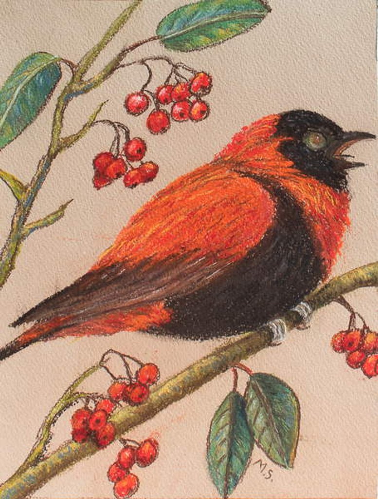 Detail of Hungry bird, 2017 by Margo Starkey