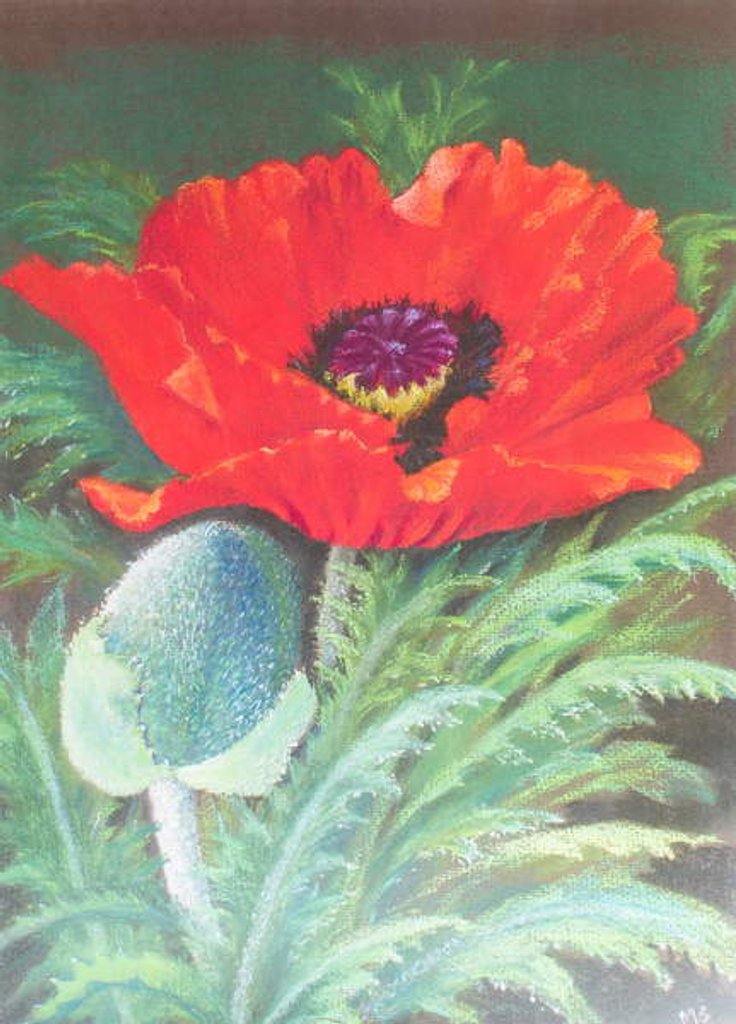 Detail of Poppies by Margo Starkey