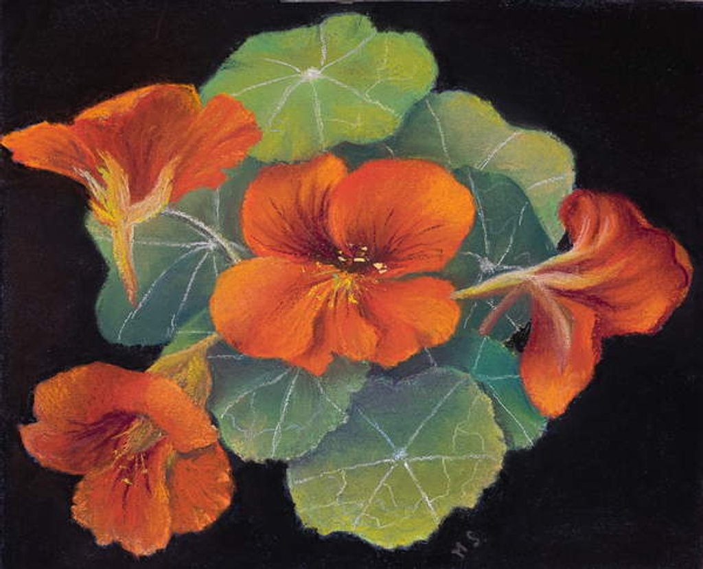 Detail of Nastursions by Margo Starkey