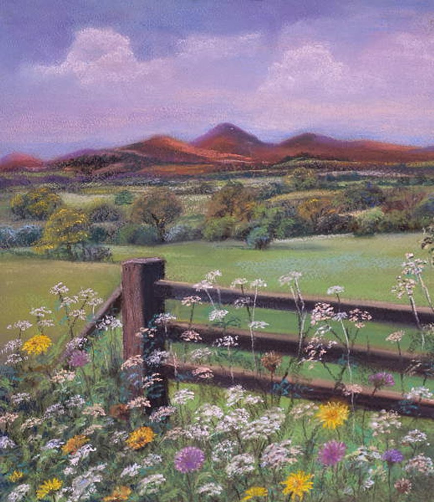 Detail of Summertime in the country by Margo Starkey