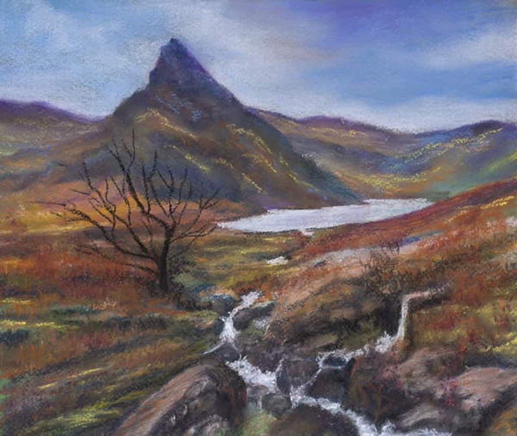 Detail of The Lake district by Margo Starkey