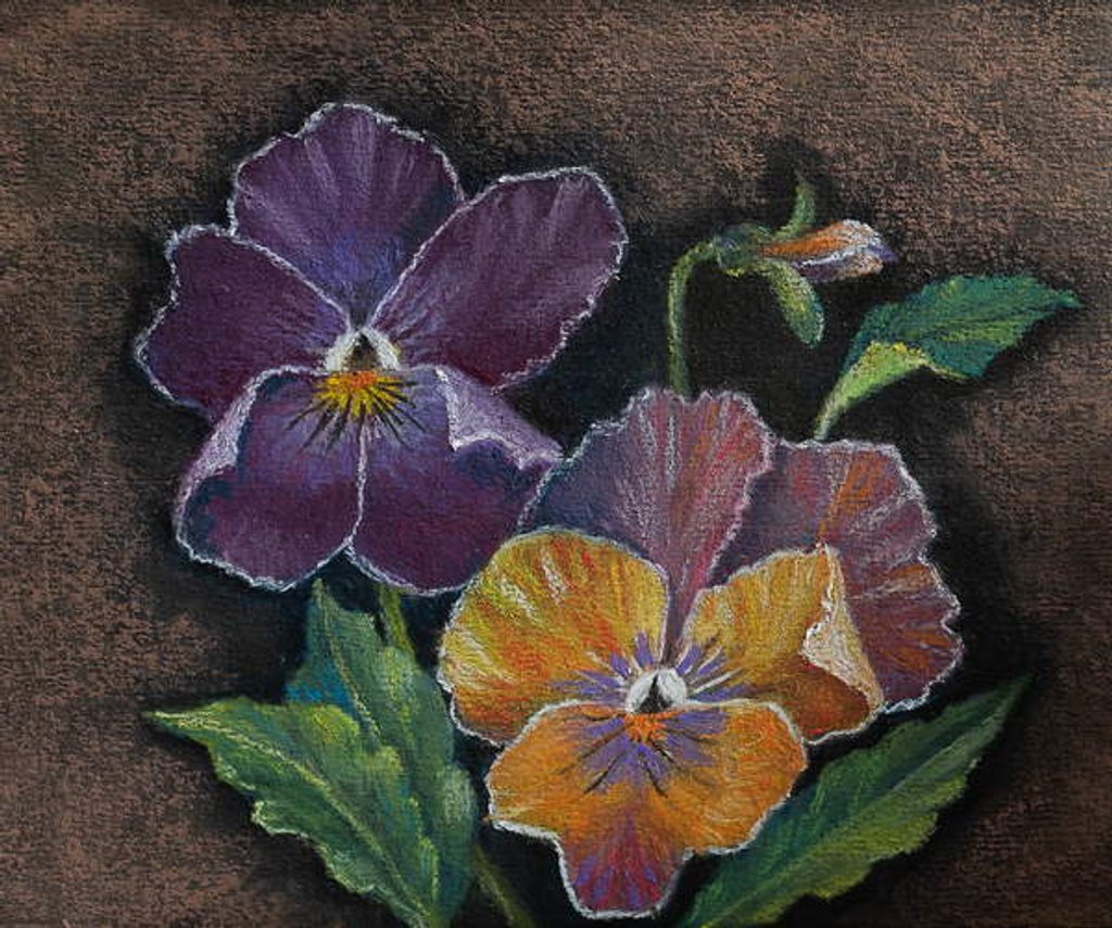 Detail of Three Pansies by Margo Starkey