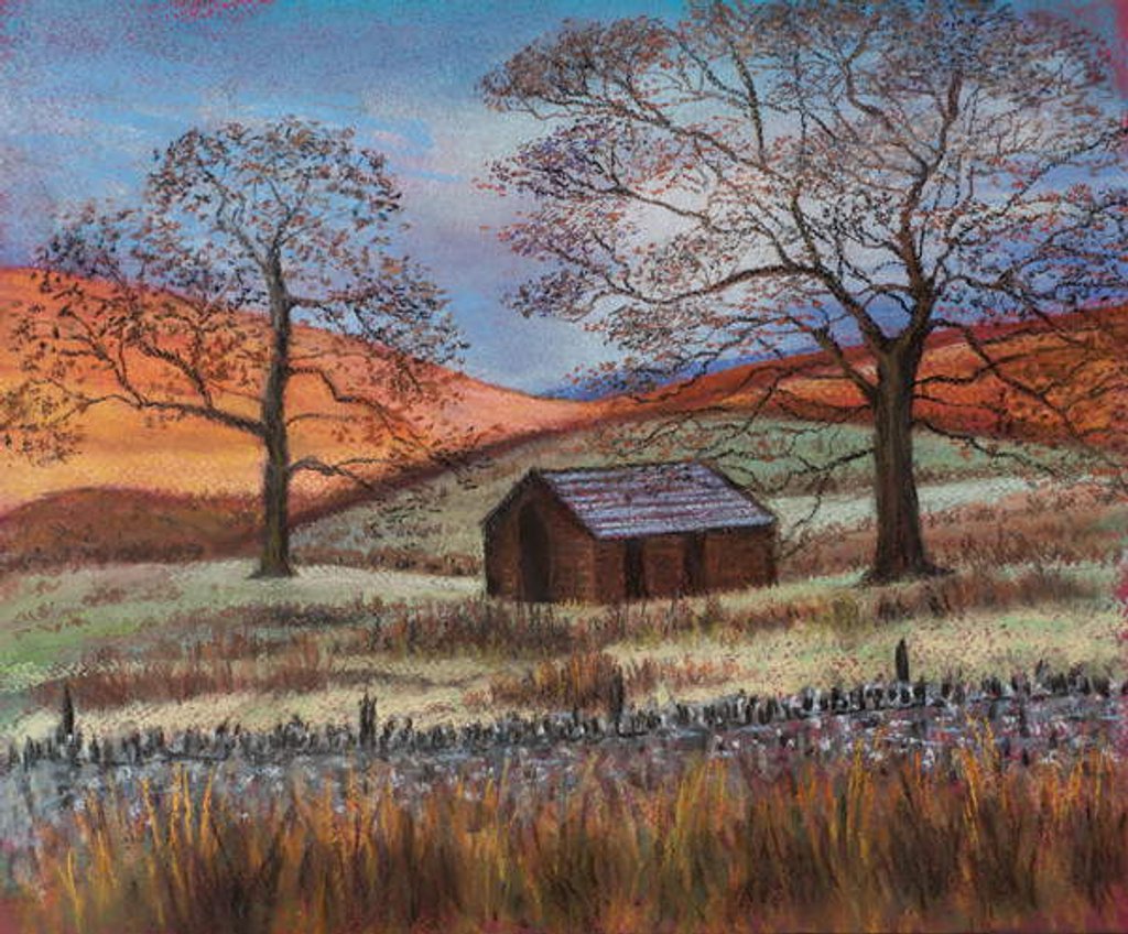 Detail of Shepherd's hut in wilds by Margo Starkey