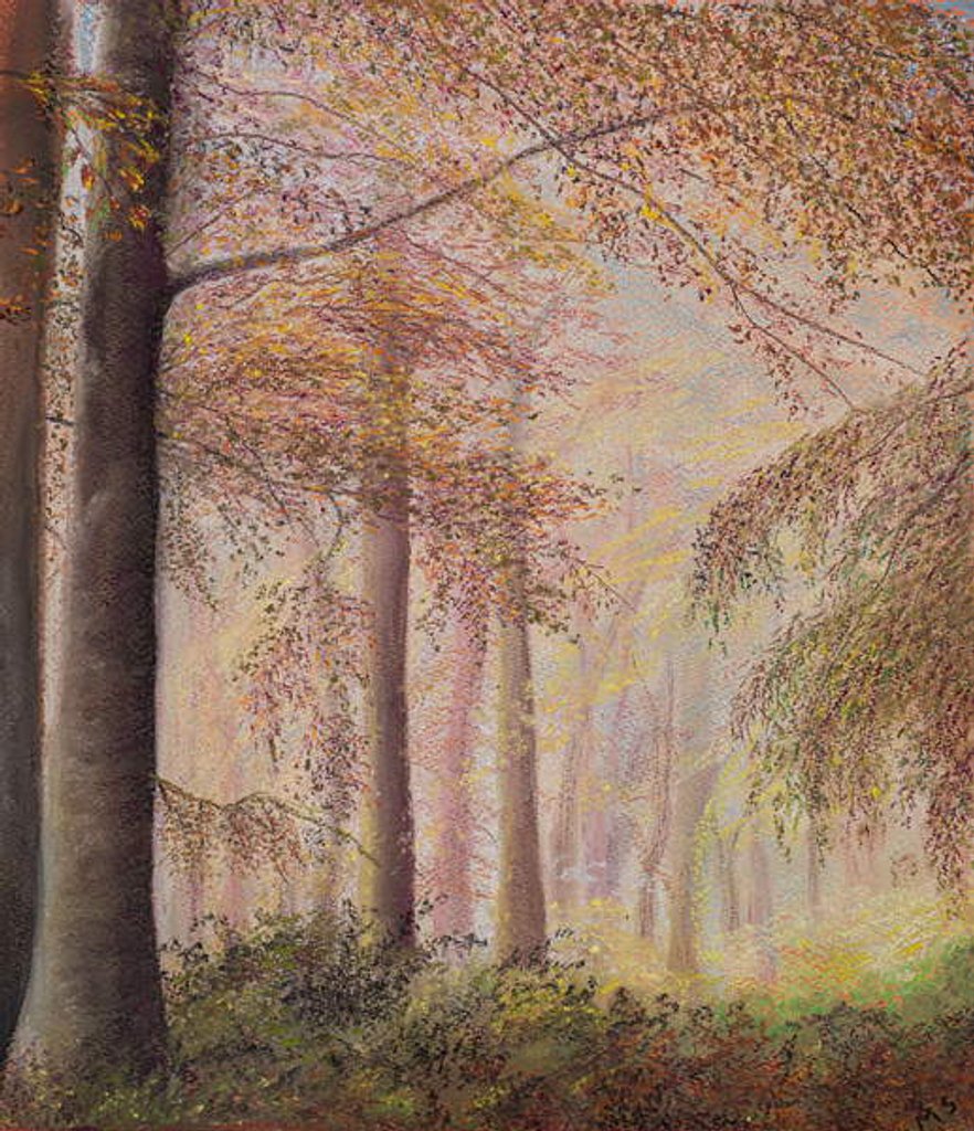 Detail of Misty woods by Margo Starkey