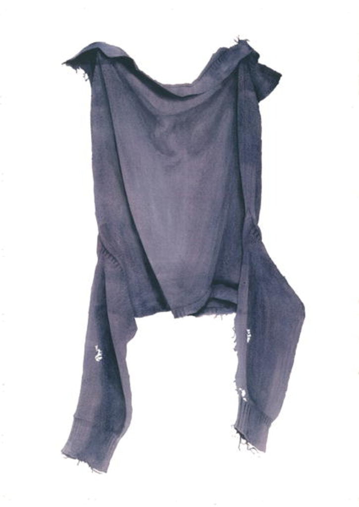 Detail of Moth-eaten Guernsey Face-on, 2003 by Miles Thistlethwaite