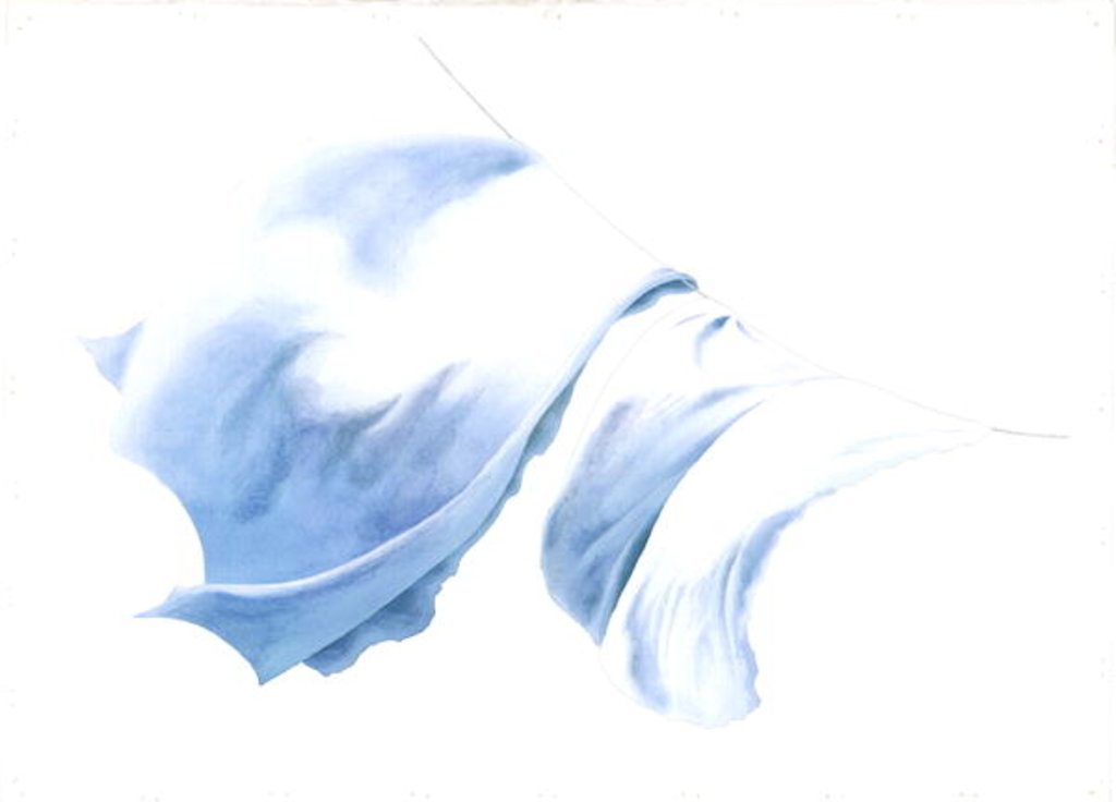 Detail of Sheet and Pillowcases in Tiree Wind, 2004 by Miles Thistlethwaite