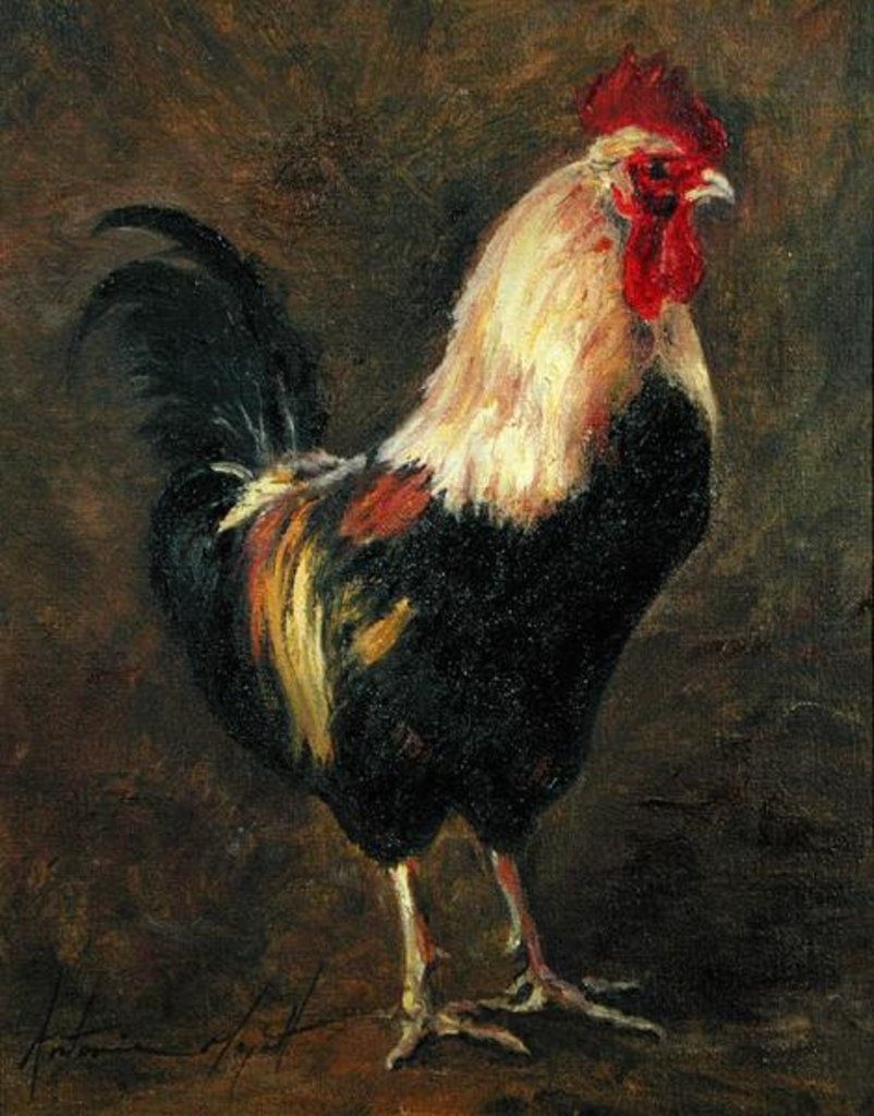 Detail of The Cockerel, 1999 by Antonia Myatt