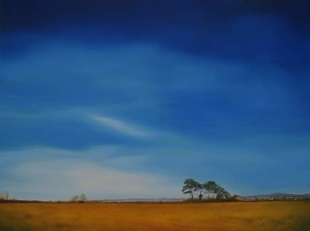 Detail of Milford on Sea, Lymington 2016 by Antonia Myatt