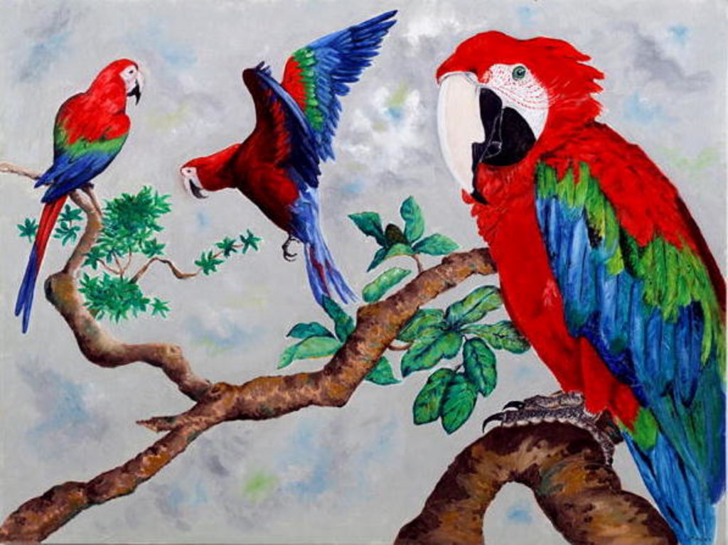 Detail of Macaws, 2006 by Maylee Christie