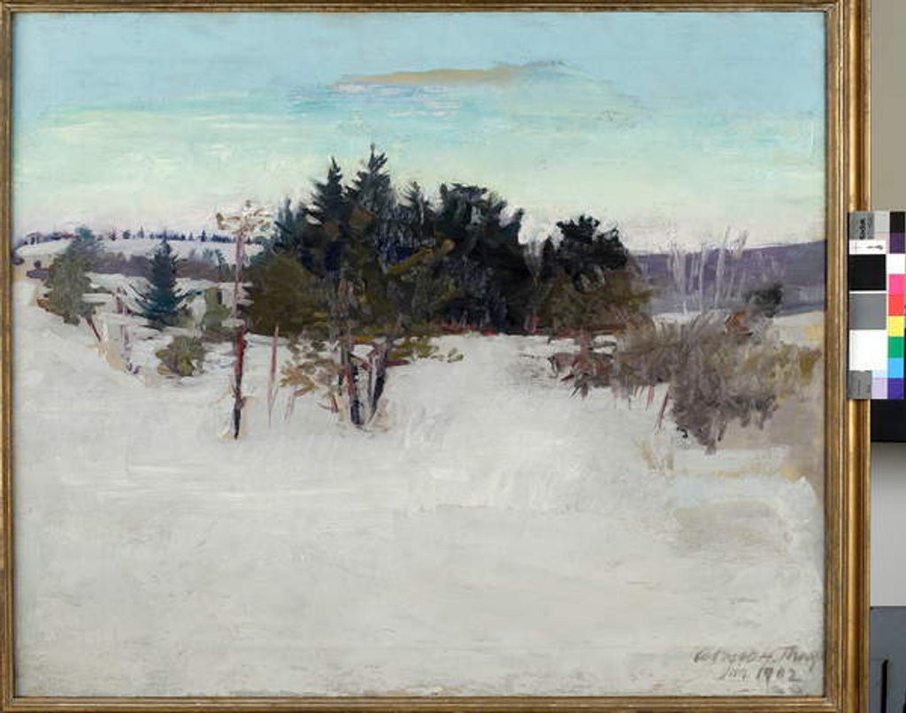 Detail of Winter Landscape, 1902 by Abbott Handerson Thayer