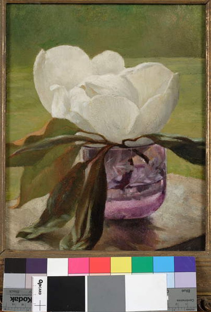 Detail of Magnolia Blossom by John La Farge or Lafarge