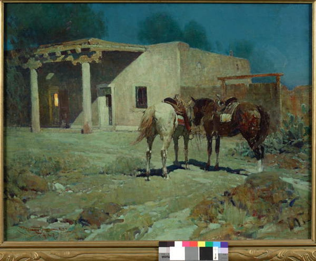 Detail of Southern Night, 1927 by Frank Tenney Johnson