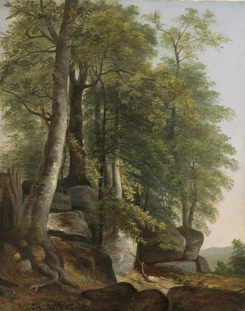 Detail of Landscape with Rocks and Trees, c.1845 by Asher Brown Durand