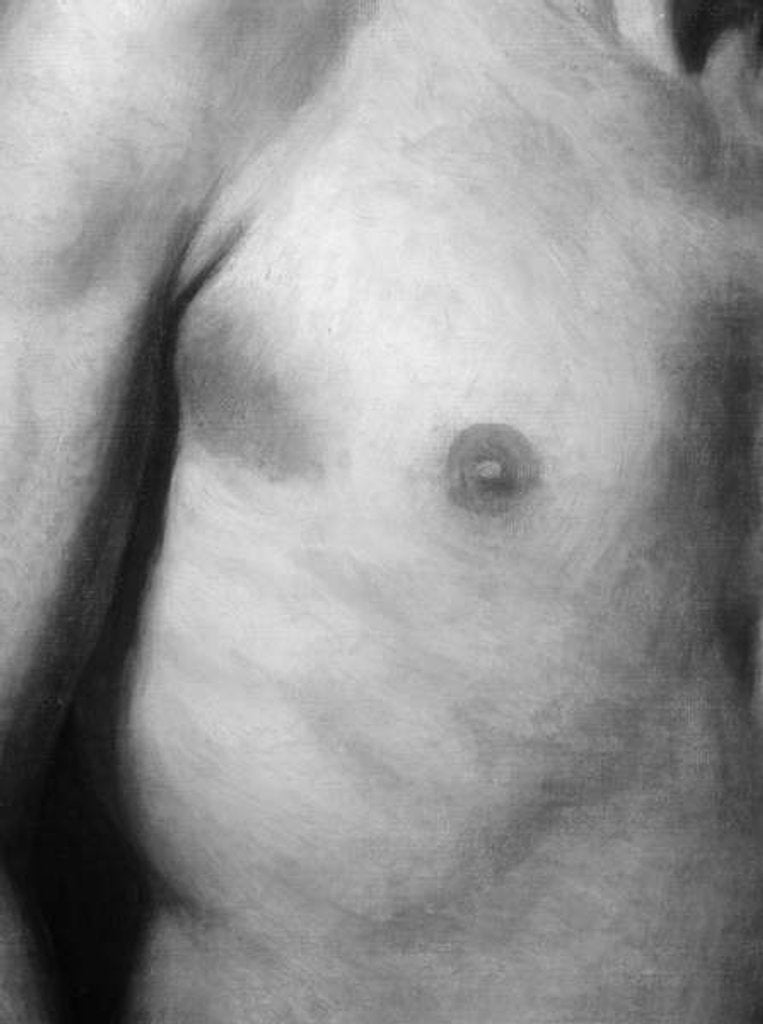 Detail of Detail from Dead Rabbit, 1858 by George Henry Hall