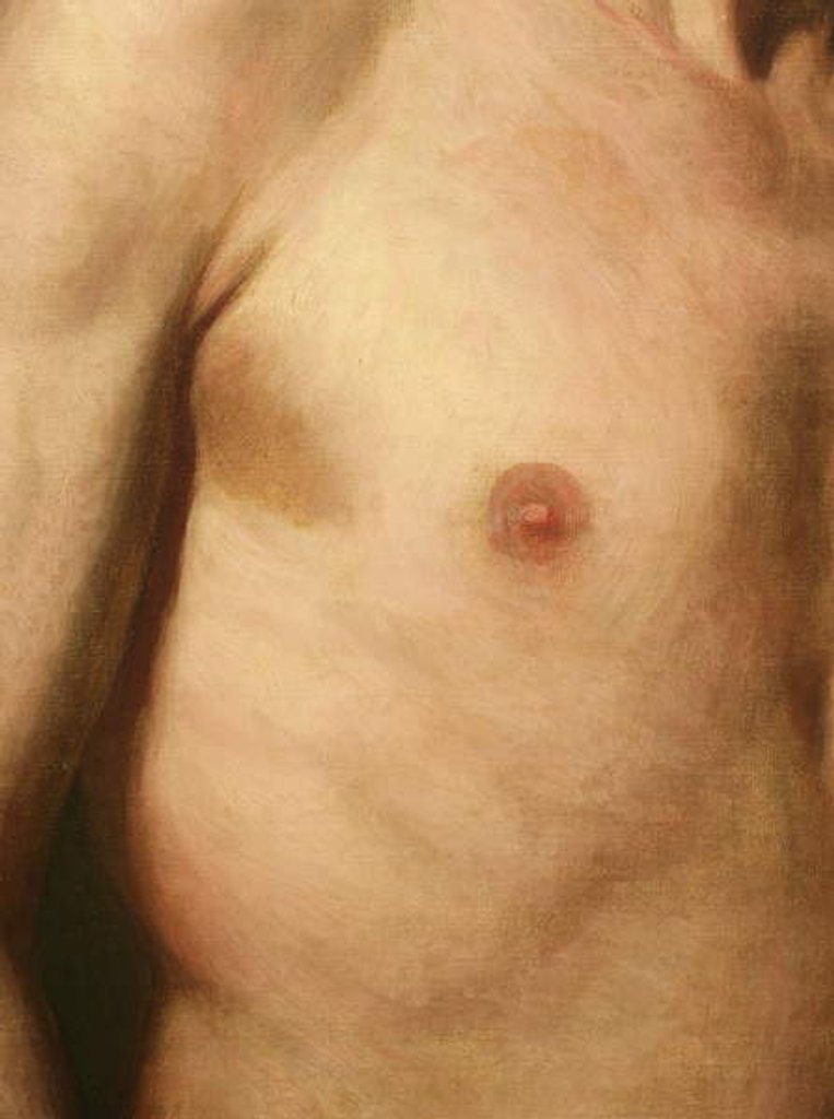 Detail of Detail from Dead Rabbit, 1858 by George Henry Hall