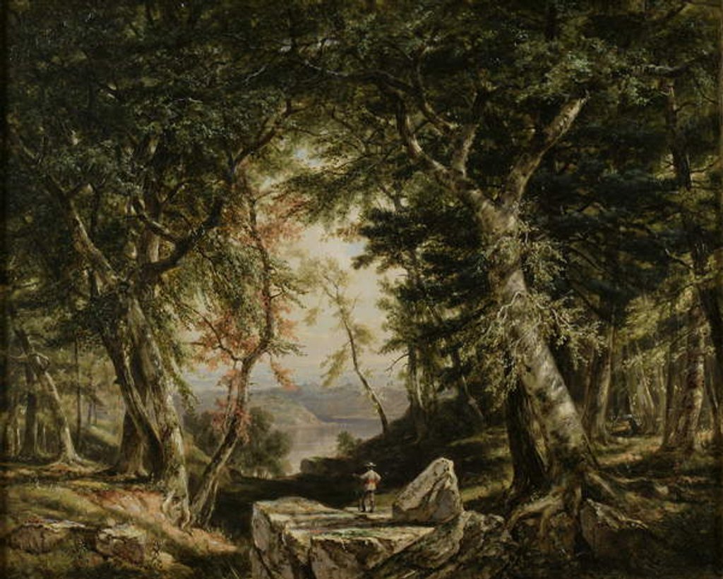 Detail of Glimpses from the Forest, 1856 by Daniel Huntington