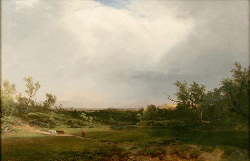 Detail of Approaching Shower, 1859 by John Frederick Kensett