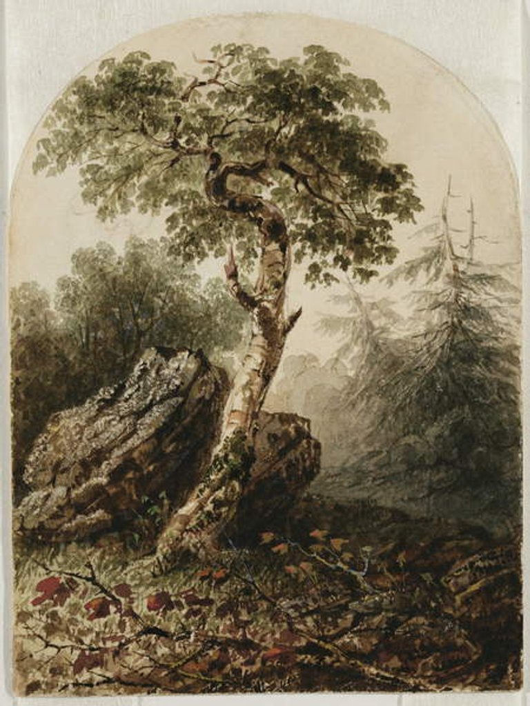 Detail of Landscape with Birch Tree, 1859 by Owen G. Hanks