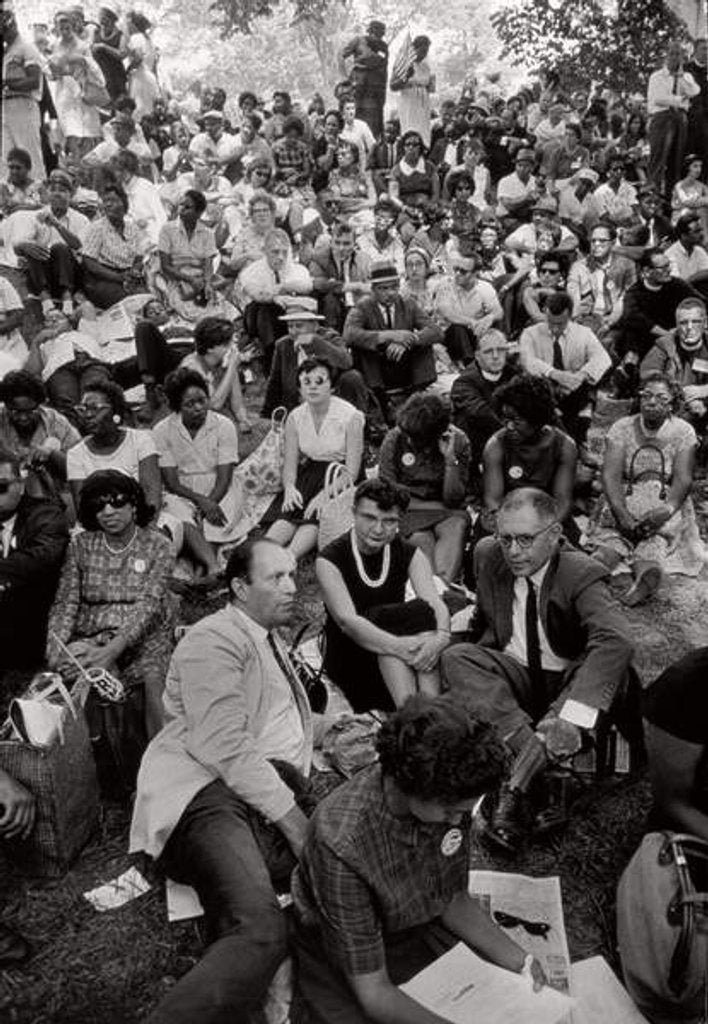 Detail of The March on Washington: A Crowd of Seated Marchers, 28th August 1963 by Nat Herz