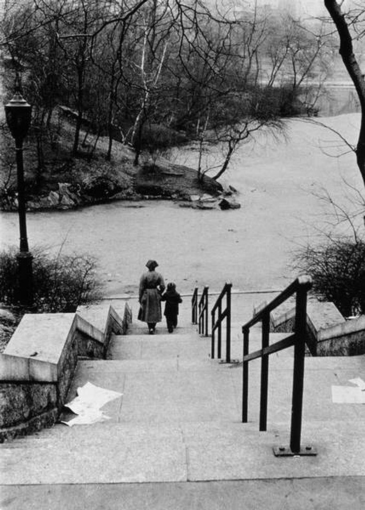 Detail of Central Park in Winter, c.1953-64 by Nat Herz