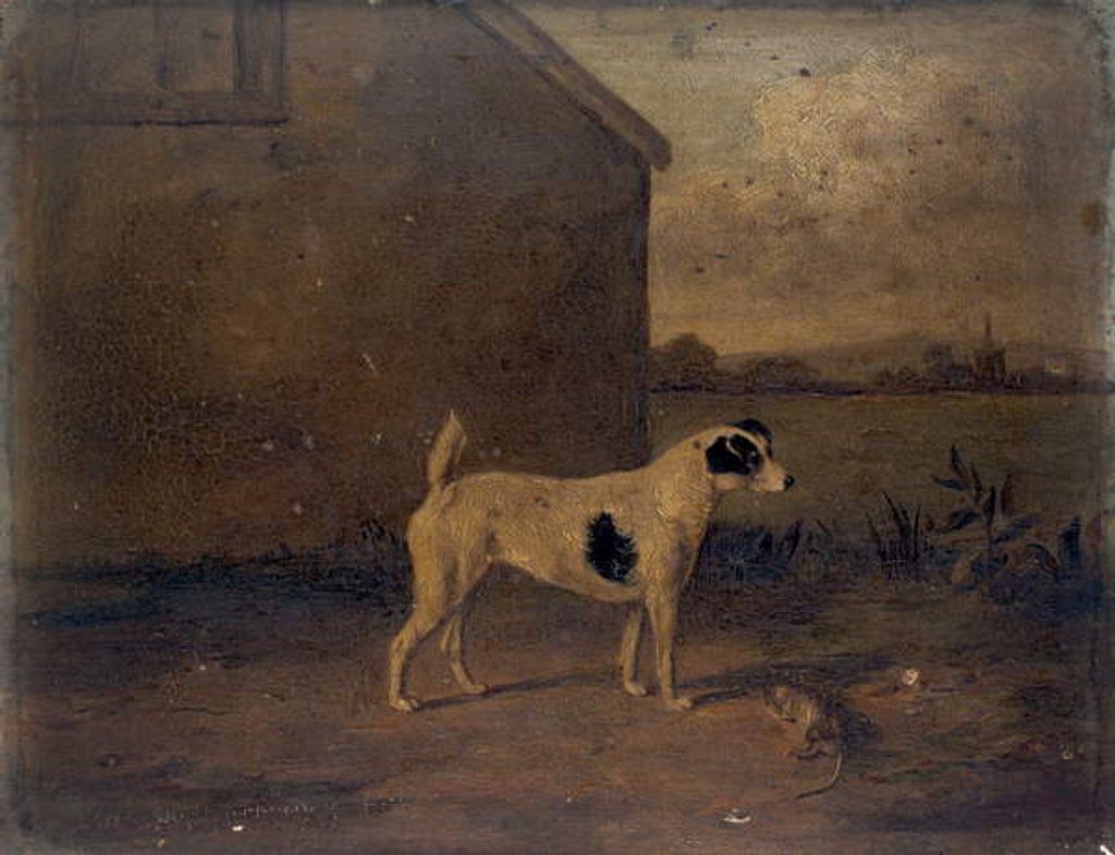 Detail of Waterloo Spot, 1816 by William Henry Davis