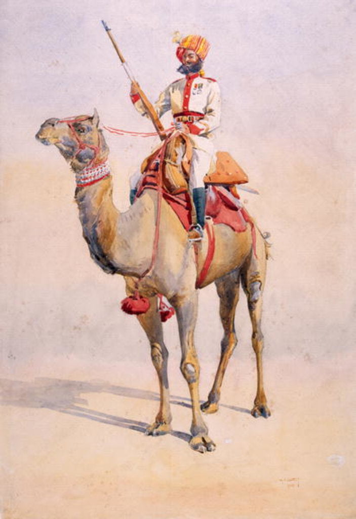 Detail of Sowar of the Bikanir Camel Corps by Alfred Crowdy Lovett