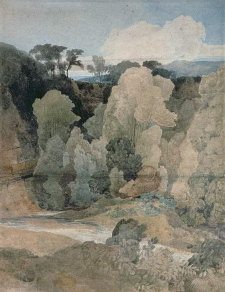 Detail of Devil's Elbow, Rokeby Park, c.1806-7 by John Sell Cotman