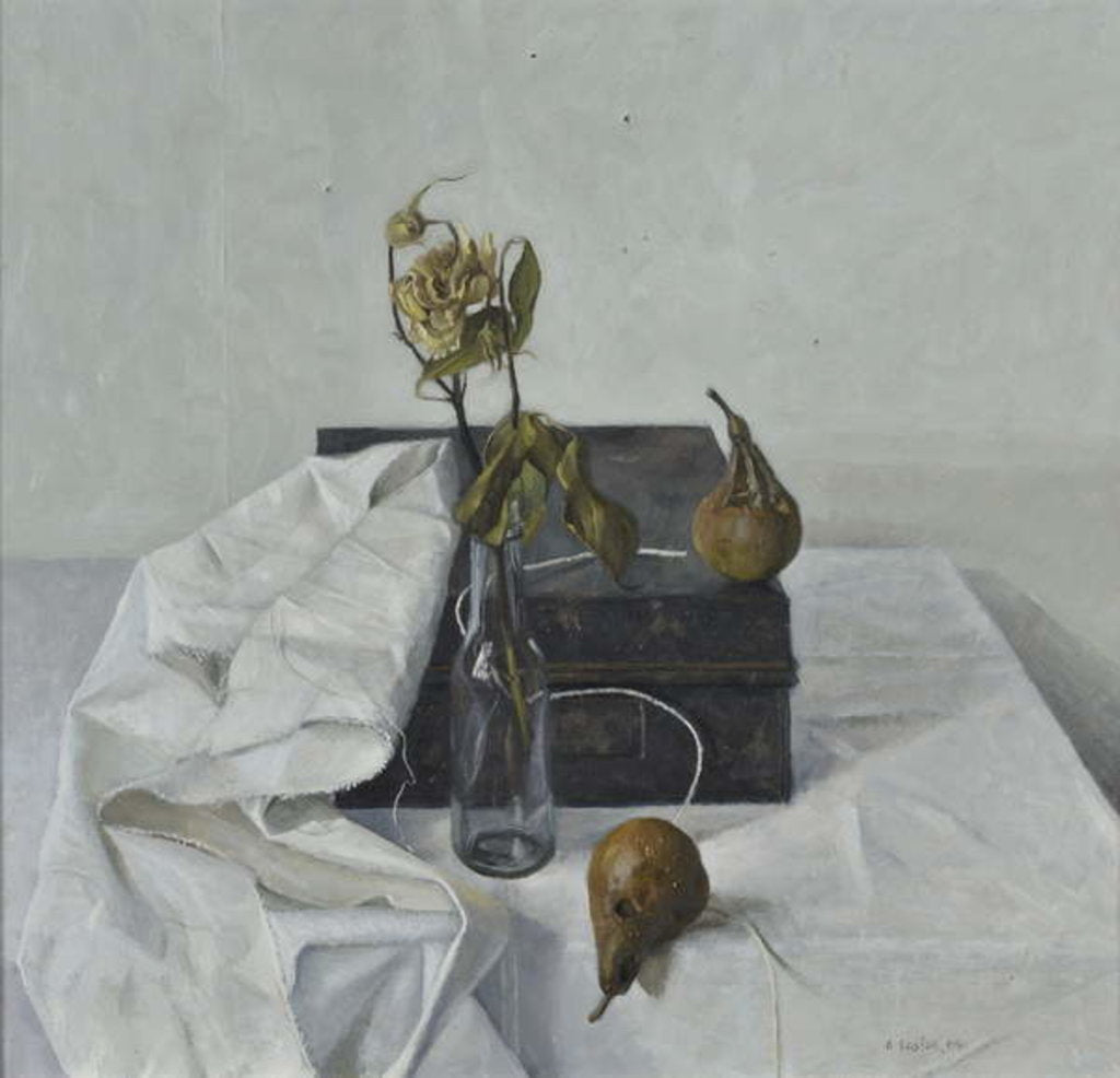 Detail of The Box and Rotten Pears, 1990 by Arthur Easton