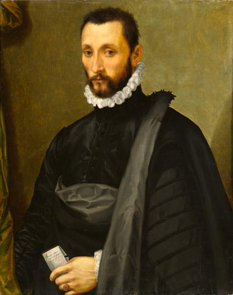 Detail of Portait of a Gentleman, 1575 by Michele di Ridolfo Tosini
